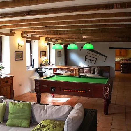 Another Day In Paradise Lizant