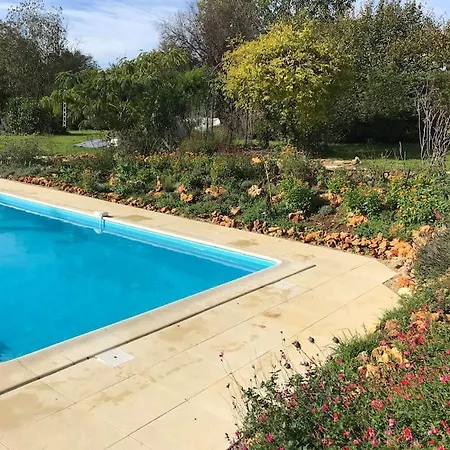 Another Day In Paradise *