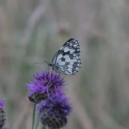 Another Day In Paradise