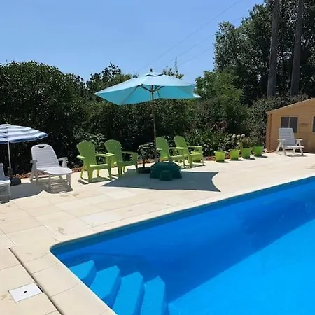 Another Day In Paradise * Lizant