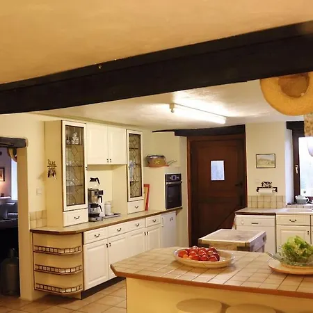 Another Day In Paradise Lizant