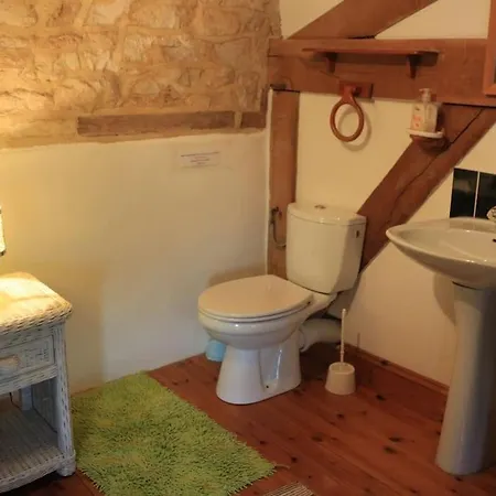 Another Day In Paradise Lizant