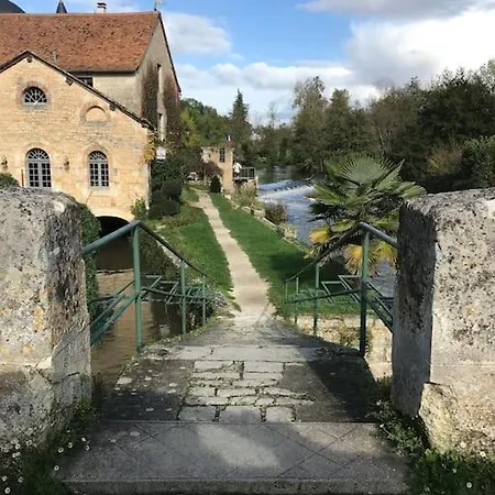 Another Day In Paradise Lizant