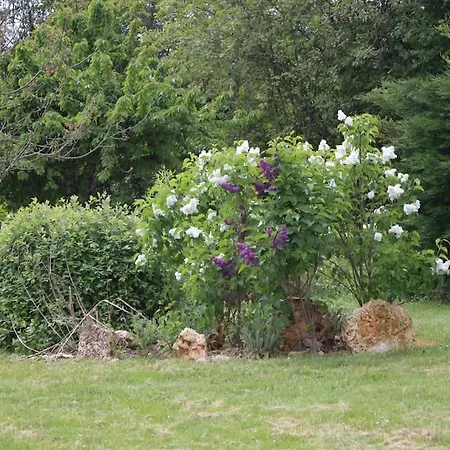 Another Day In Paradise